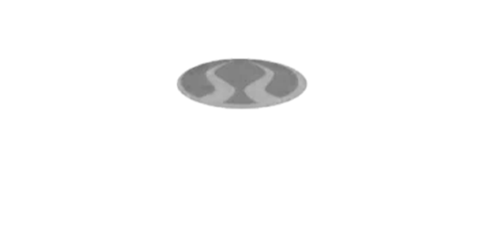 VP Vantage Point